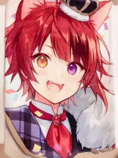 2025年最新】ピクチャータオル 莉犬の人気アイテム - メルカリ