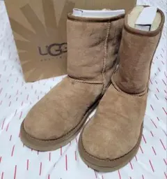 UGG W CLASSIC SHORT 5825 ベージュ 6
