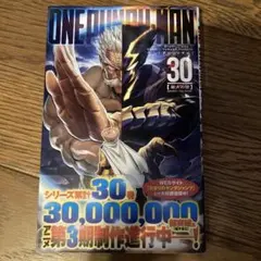 ワンパンマン 30