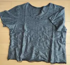 LAPINE ラメ入り黒半袖Tシャツ サイズ17(2XL)のサムネイル