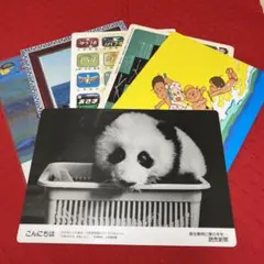 2026年最新】昭和 下敷きの人気アイテム - メルカリ