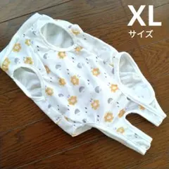 Item thumbnail for item c0dbb815-47c6-4853-b4e9-6a26688b6b67