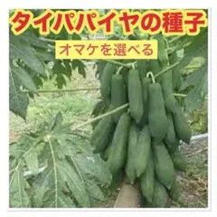 NPOショップシロクマ様 リクエスト 3点 まとめ商品