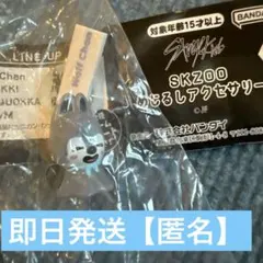 SKZOO めじるしアクセサリー