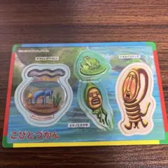 2025年最新】こびとづかんマグネットの人気アイテム - メルカリ