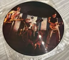 Sex Pistols シド・ヴィシャス LIVE ピクチャーレコード 激レア Sex Pistols シドヴィシャス ライブレコード - メルカリ