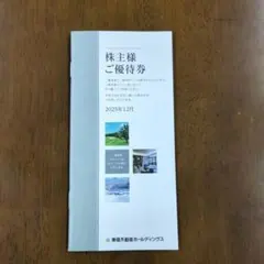 値下げ！東急不動産HD株主優待券 2025年12月発行✕３冊