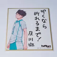 ハイキュー 極楽湯 コラボ ポラショットコレクションお風呂ver. 赤葦京