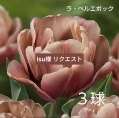 isu様 リクエスト 4点 まとめ商品