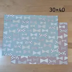 ランチョンマット2枚 30×40
