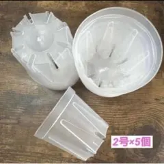 半透明 スリット鉢 2号×5個 兼弥産業 CSM-60 多肉植物 花苗