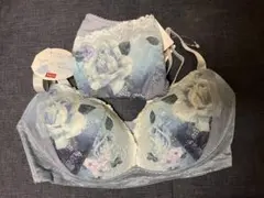 ときはなつブラ　ワコール　d70 セット