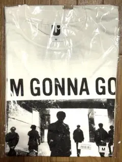 Item thumbnail for item b83d7890-dae7-47eb-a158-6970b51e3f6a