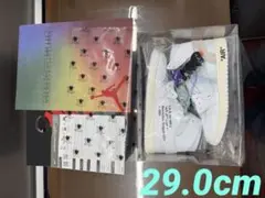 29cm V.A.A. x Nike Air Jordan 1 High OG