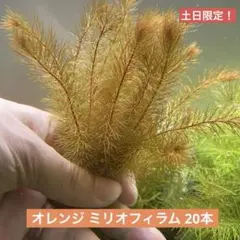 orifancy様 リクエスト 4点 まとめ商品