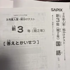 2026年最新】sapix 入室テスト 新2年の人気アイテム - メルカリ
