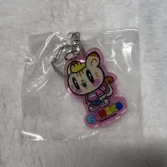 ジェ猫　小森隼