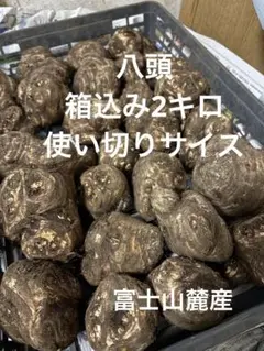 2026年最新】里芋種芋の人気アイテム - メルカリ