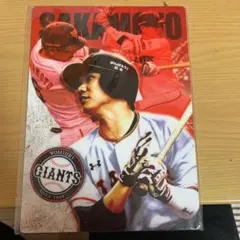 坂本勇人 巨人 ジャイアンツ グッズ