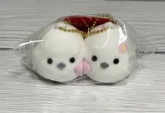 ふくふくシマちゃん