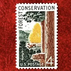 Item thumbnail for item e6672116-1f19-4990-a93a-f514bf3a022c