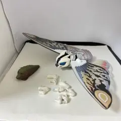 リアル剥製（本物）マガモ／カモ 剥製 木製台座付き - メルカリ