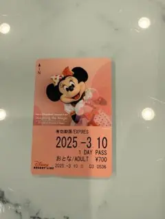 東京ディズニーリゾート　ミニー　イマジニングザマジック リゾートライン　切符