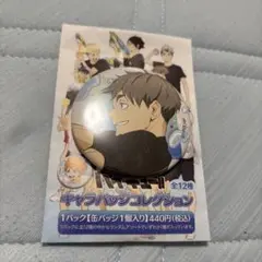 ハイキュー 宮治 水遊び 缶バッチ