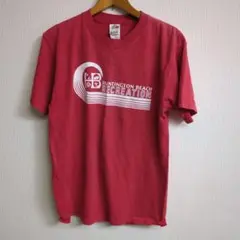 フルーツオブザルーム　Tシャツ　両面　ナンバリング