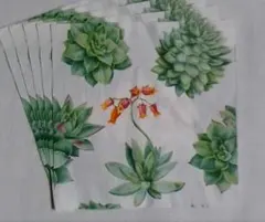 ひーちゃん様 リクエスト 2点 まとめ商品