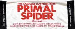 THE RAMPAGE PRIMAL SPIDER ～巡らせる糸〜フェイスタオル