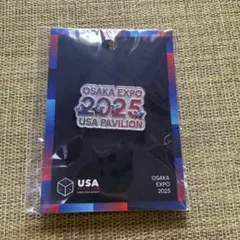 超激レア！ 非売品 大阪・関西万博　Spark スパーク　アメリカ館　ピンズ 大阪関西万博 アメリカ館 限定 ピンバッジ スパーク USA｜Yahoo