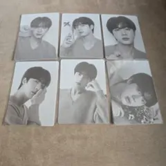 BTS JIN ジン MONOCHROME ミニフォトコンプ