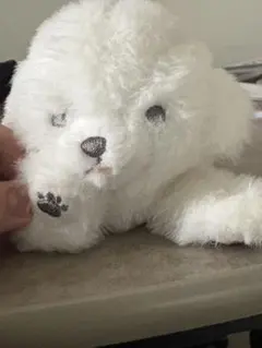犬　ぬいぐるみ　ぬい　マルチーズ