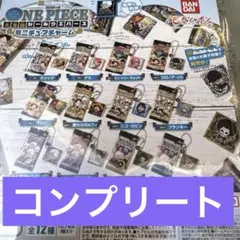 にふぉるめーしょん ワンピース大海賊シールウエハース ミニチュアチャーム 全12