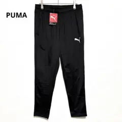 Item thumbnail for item 137750c6-efbc-490e-afb7-e0c91e18c4b9