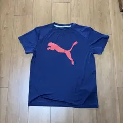 Puma ネイビードライ素材 Tシャツ 160 新品未使用