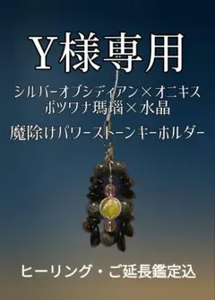 Y様専用 遠隔ヒーリング 天然石キーホルダー ご質問10個ご延長深掘り鑑定
