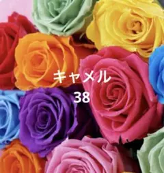 2025年最新】クチートアマーノの人気アイテム - メルカリ