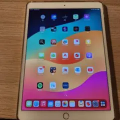 iPad Pro (10.5インチ) 本体