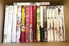 BL漫画 まとめ売り 18点セット ボーイズラブ