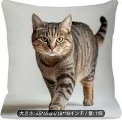 Item thumbnail for item 5d71518e-33ca-4a3f-b9cd-295edfbddf70