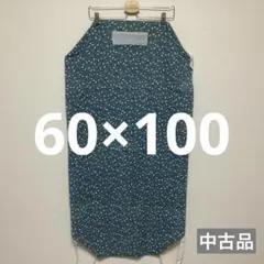 Item thumbnail for item 44418e3b-8365-4db9-9e3c-4ab7a3ef9ab8