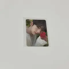 zb1 ゼベワン ユジン トレカ