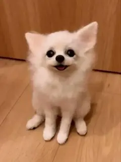 羊毛フェルト 羊毛犬 リラックスチワワ - メルカリ