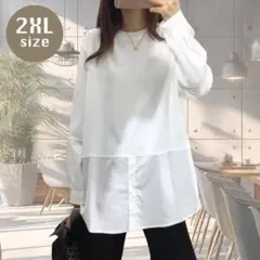 Item thumbnail for item 45191b49-1099-4862-adc2-2c27ee1a09eb