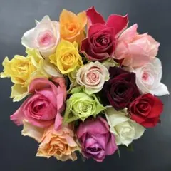 ぱるふぁん様専用　追加ラッピング