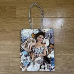 【希少✴︎】COACH コーチ　ショッパー　ショップ　紙袋　平成