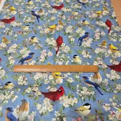 生地　布　ハギレ　鳥柄　usa コットン　No.13
