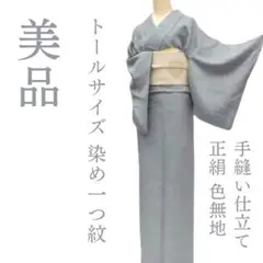単衣【新品、未使用】正絹【極上逸品】トールサイズ【作家物】訪問着フルセット 170cm対応の高身長トールサイズ夏用「絽」訪問着レンタル。夏の